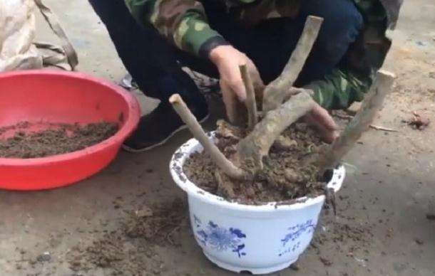 最新下山桩，自然美景的探索之旅