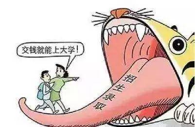 野鸡最新网站，变化中的学习之旅，自信与成就感的源泉探索