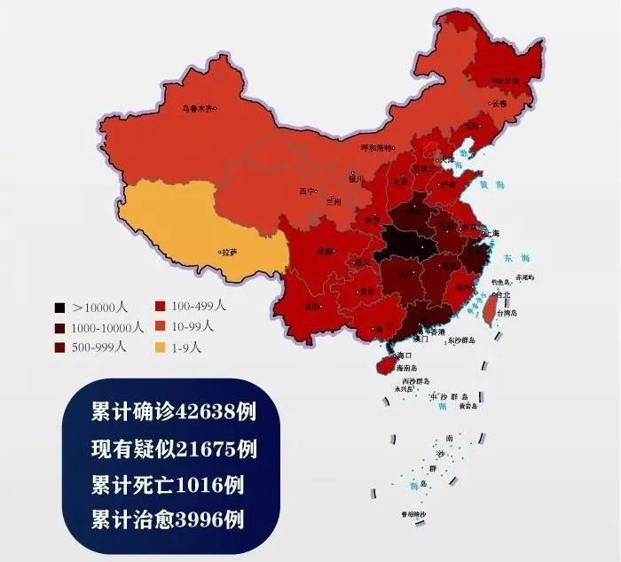 最新新冠地区变化中的学习，自信与成就的力量展现