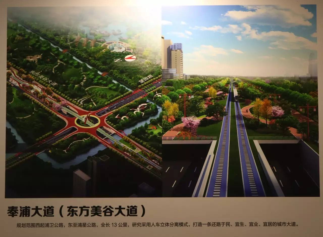 奉贤新寺新塘未来规划，打造佛教文化圣地的新篇章