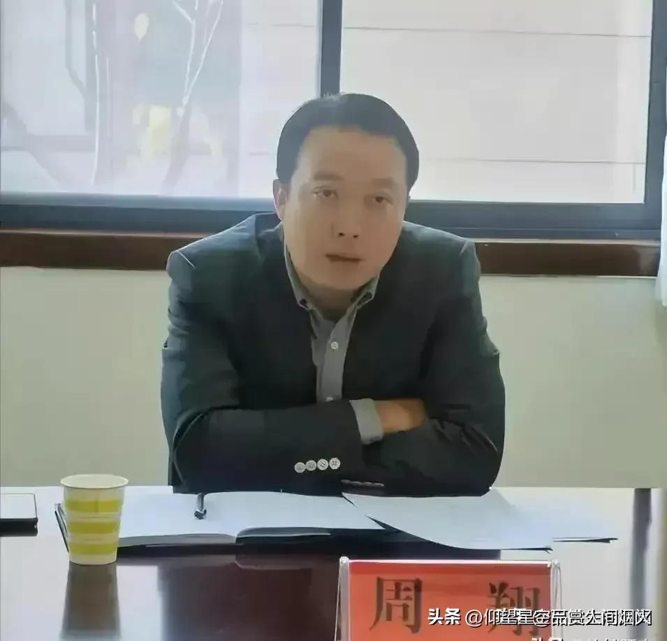 郑成月最新情况，多维度视角下的深度观点分析