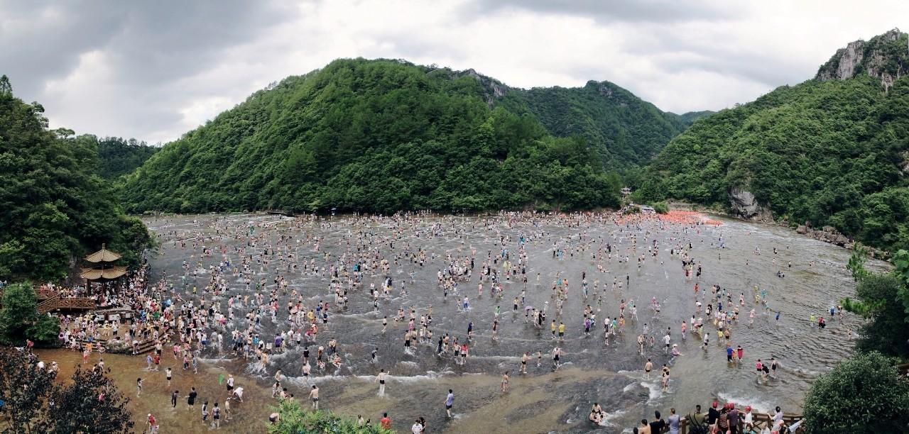 屏南论坛最新动态，多元视角下的探讨与观点碰撞