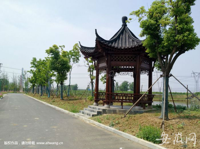 吴山至南岗最新动态概览